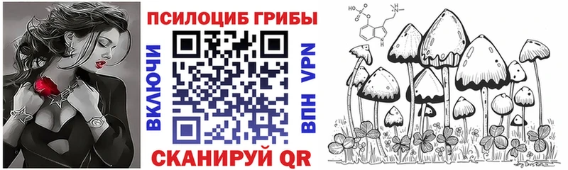 кракен зеркало  Тихорецк  Галлюциногенные грибы Cubensis 