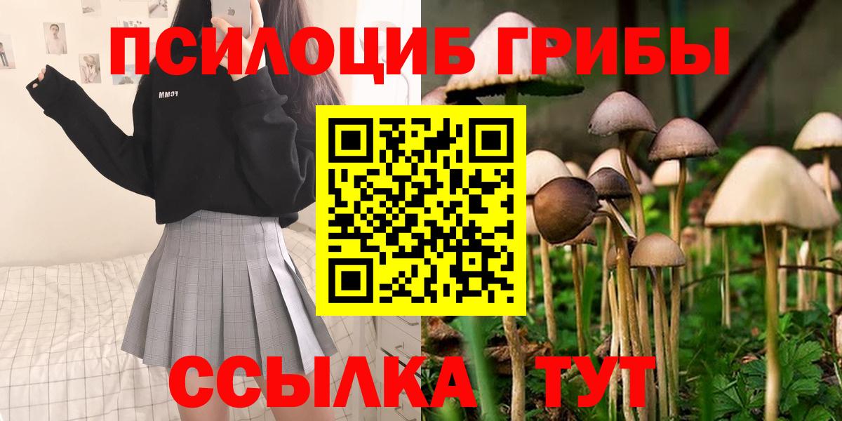 Псилоцибиновые грибы прущие грибы Тихорецк