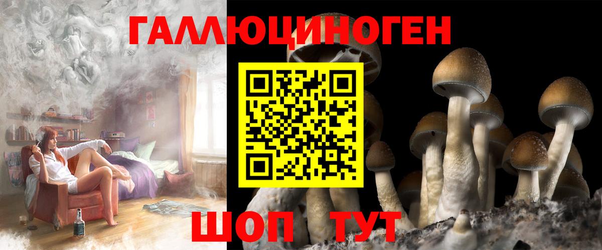 Псилоцибиновые грибы Psilocybine cubensis  Псилоцибиновые грибы Psilocybine cubensis  Тихорецк  Вход с VPN 